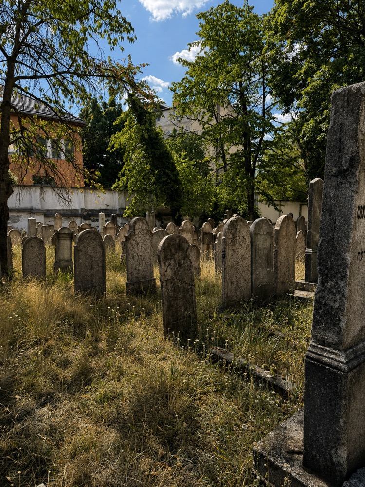 Rows of gravestones in tall grass at the orthodox Jewish cemetery on Csörsz Street