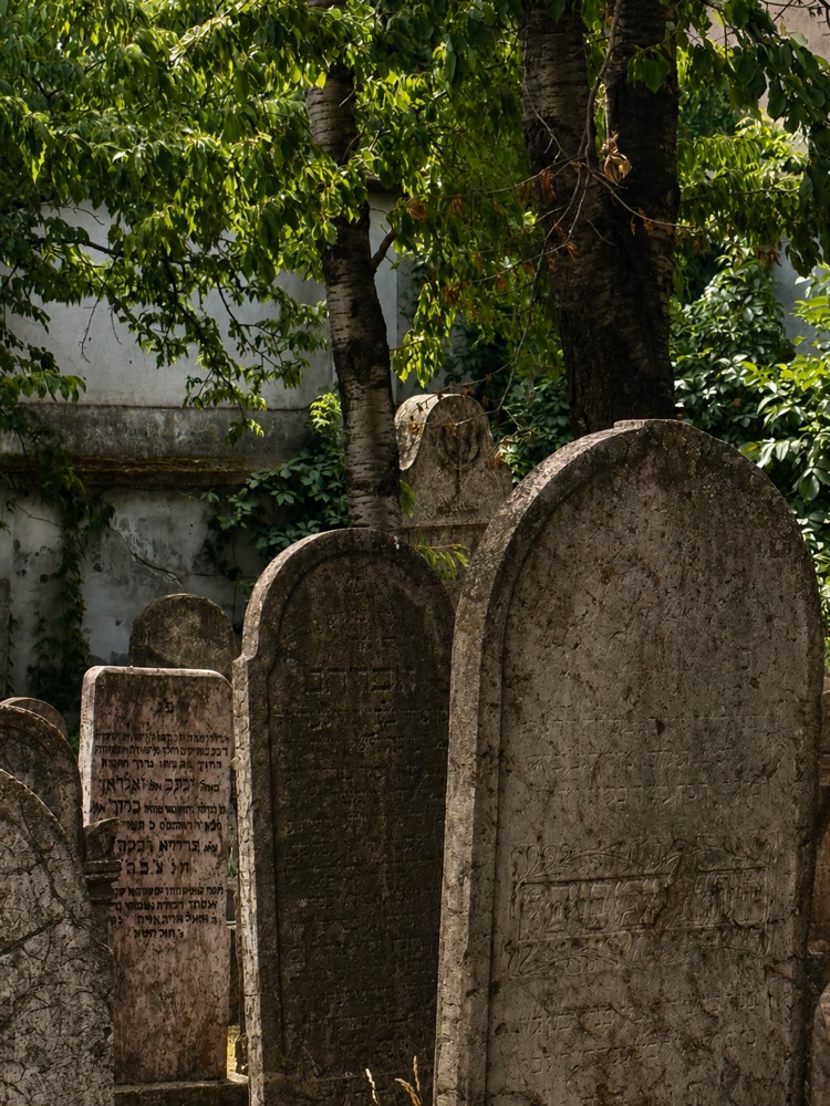 Central path through the cemetery