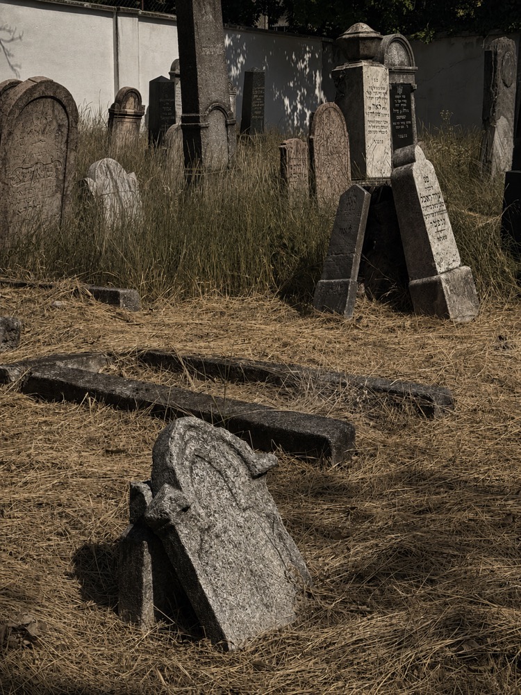 Fallen and tilting gravestones