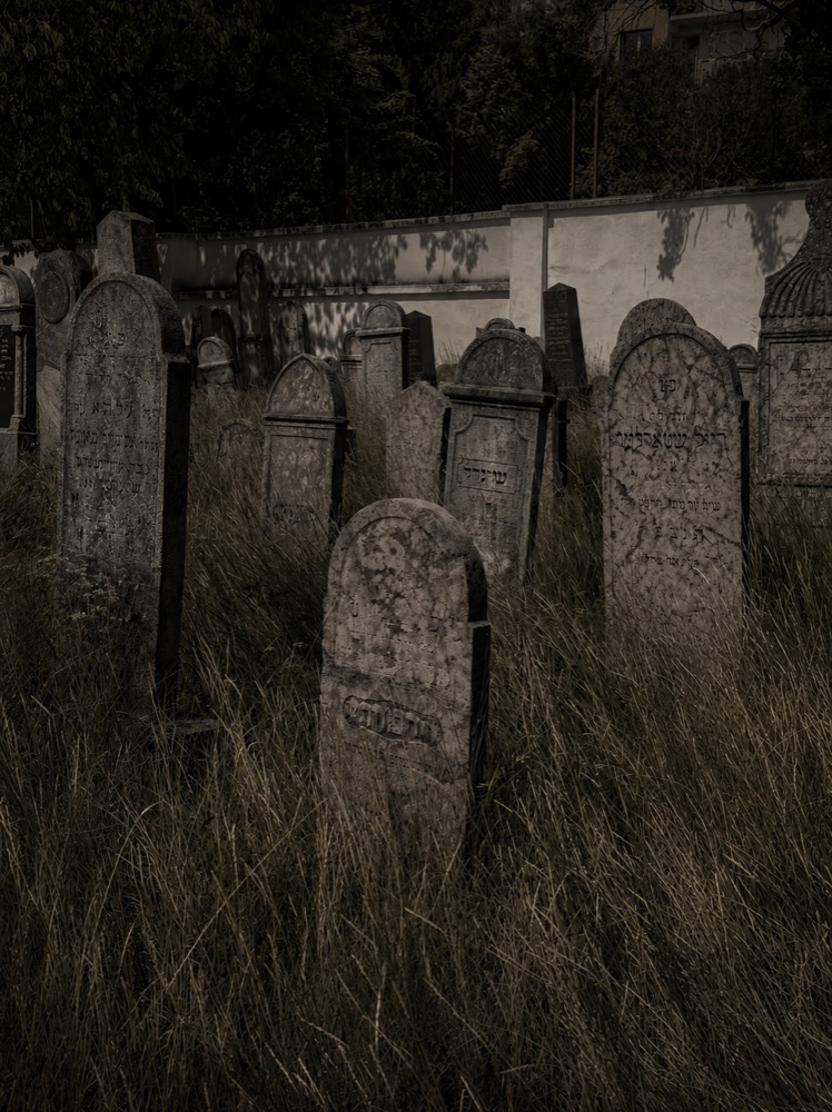 Gravestones among tall grass