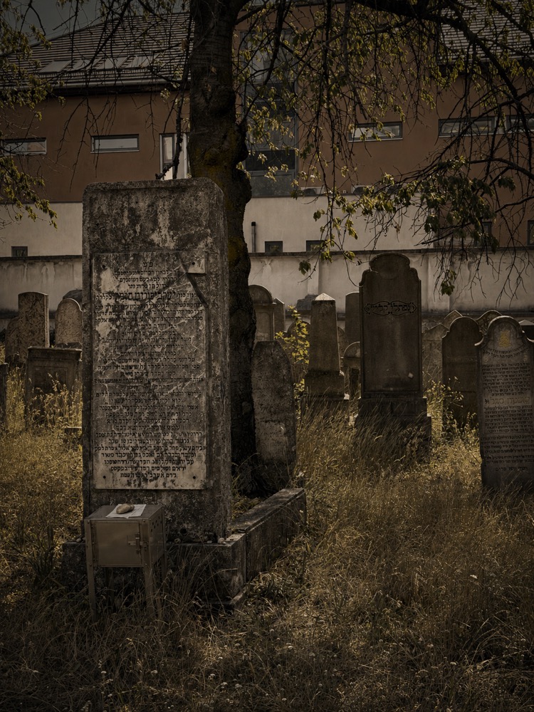 Overgrown gravestones near trees