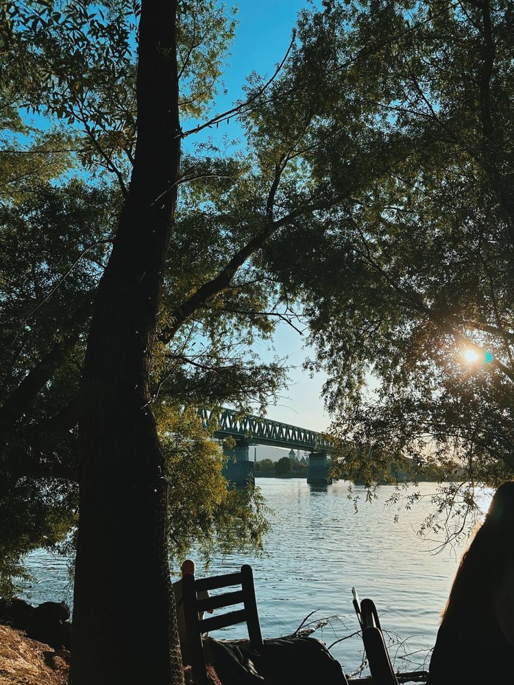 Danube and bridge through the trees — Népsziget